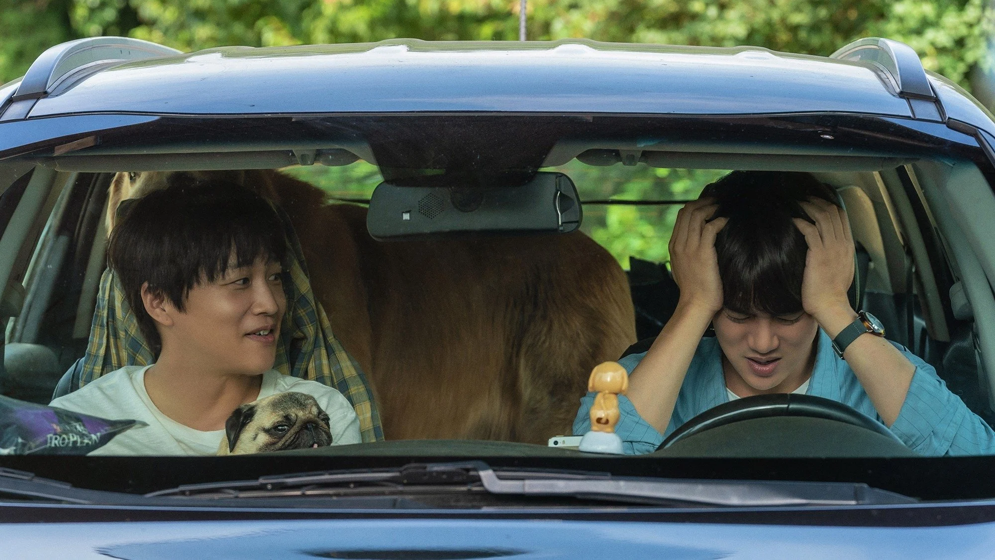 Tìm Nhà Cho Boss Full